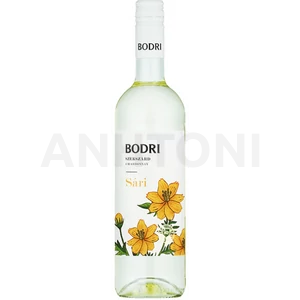 Bodri Chardonney "SÁRI" 2024 DRS