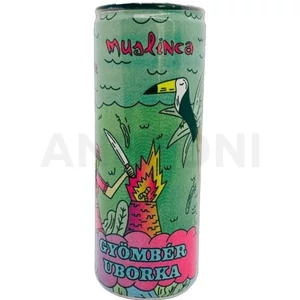 Muslinca gyömbér-uborka ízesítésű szénsavas üdítő 0,25l DRS