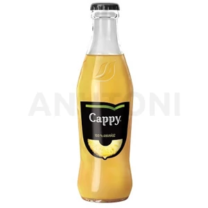 Cappy ananászlé 0,25l