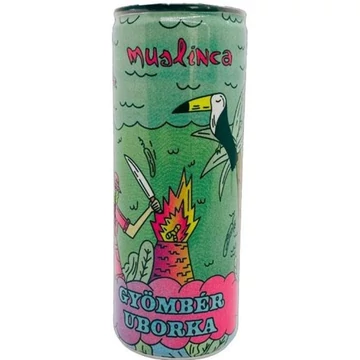 Muslinca gyömbér-uborka ízesítésű szénsavas üdítő 0,25l DRS