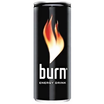 Burn Energia 0,25l dobozos DRS